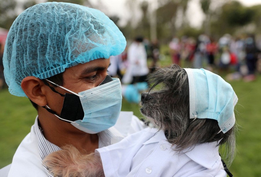 A man holds a small dog, both are costumed as nurses.