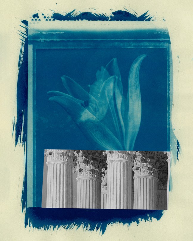 collage of the Supreme Court's pillars with nature images in the background