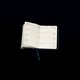 A diary
