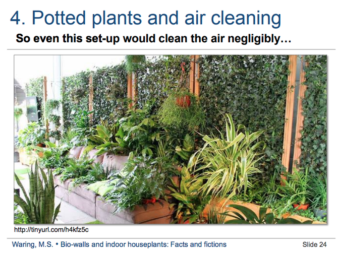 What Indoor Plants Clean The Air Best None Of Them The Atlantic