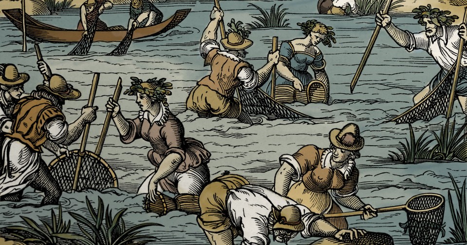 Medieval Overfishing Transformed Europe's Fisheries - The ...