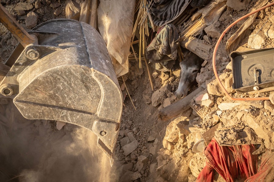 The face of a donkey pokes out from a large pile of rubble; the bucket of a piece of construction equipment is nearby.