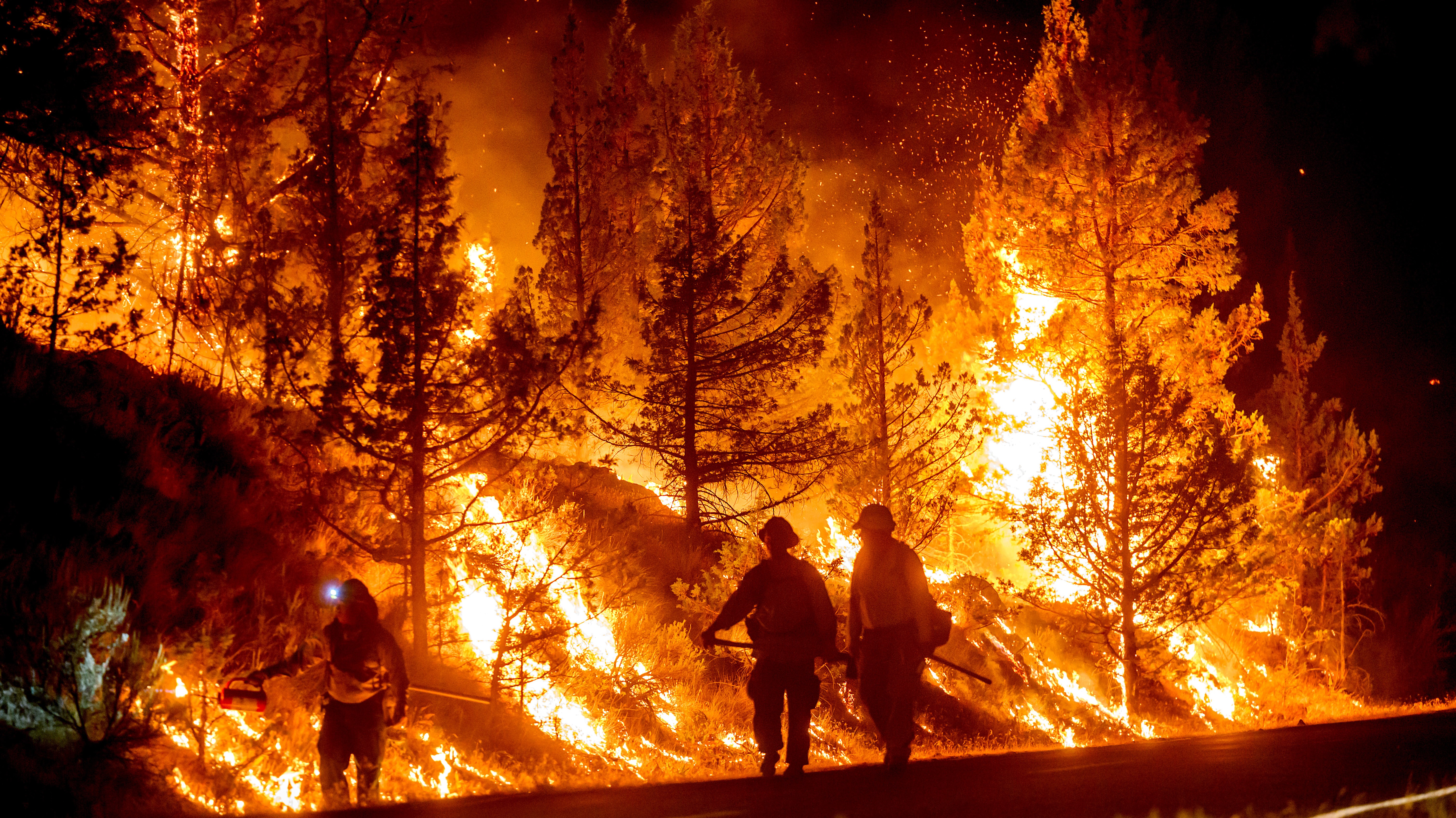 Photos of the Week: Heat Wave, Buck Moon, Alphorn Ensemble