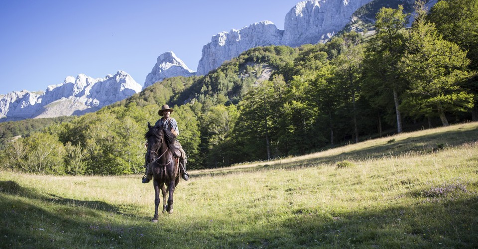 Jacques Audiard On The Making Of The Sisters Brothers The Atlantic