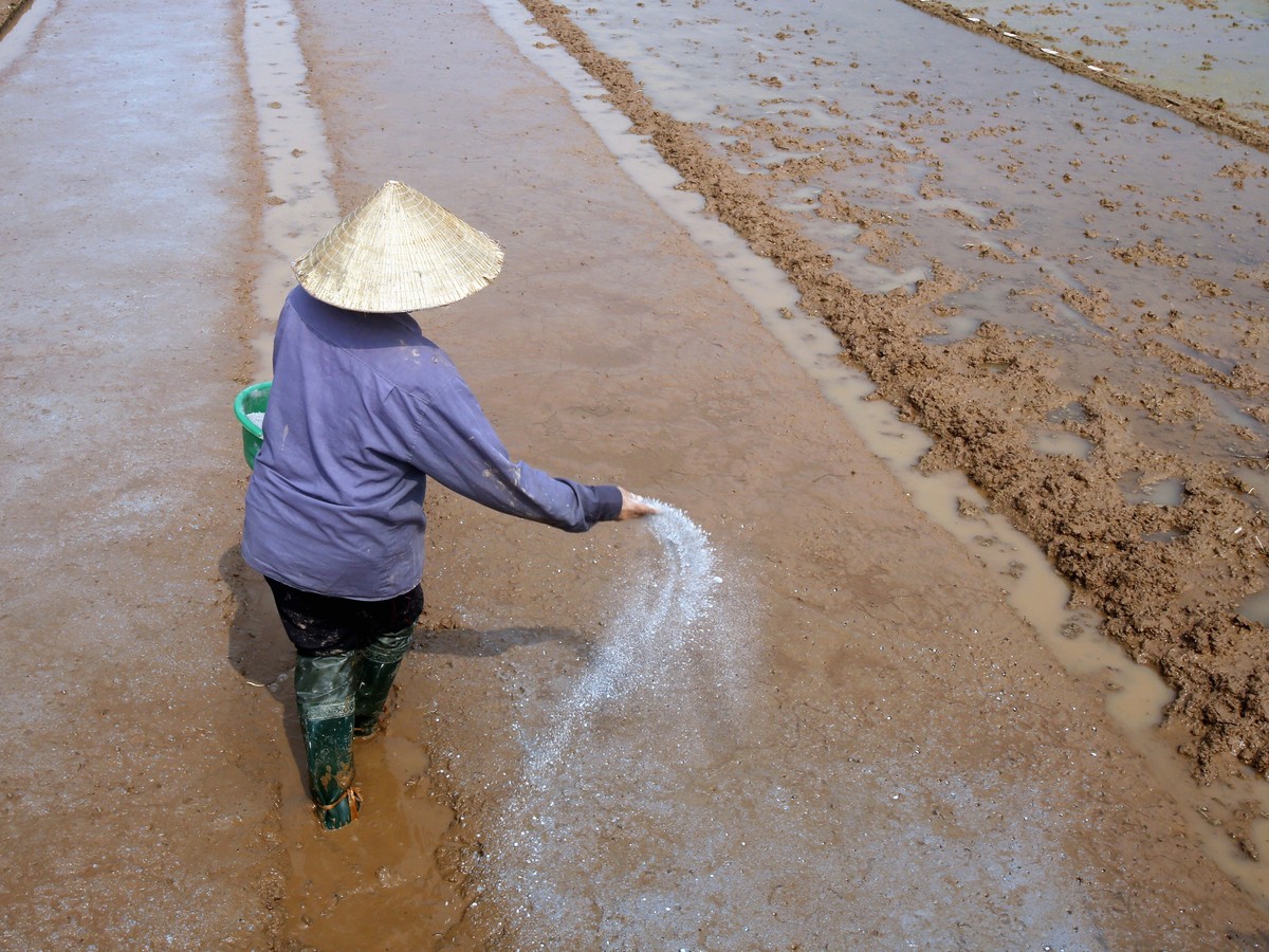 does china use human waste as fertilizer