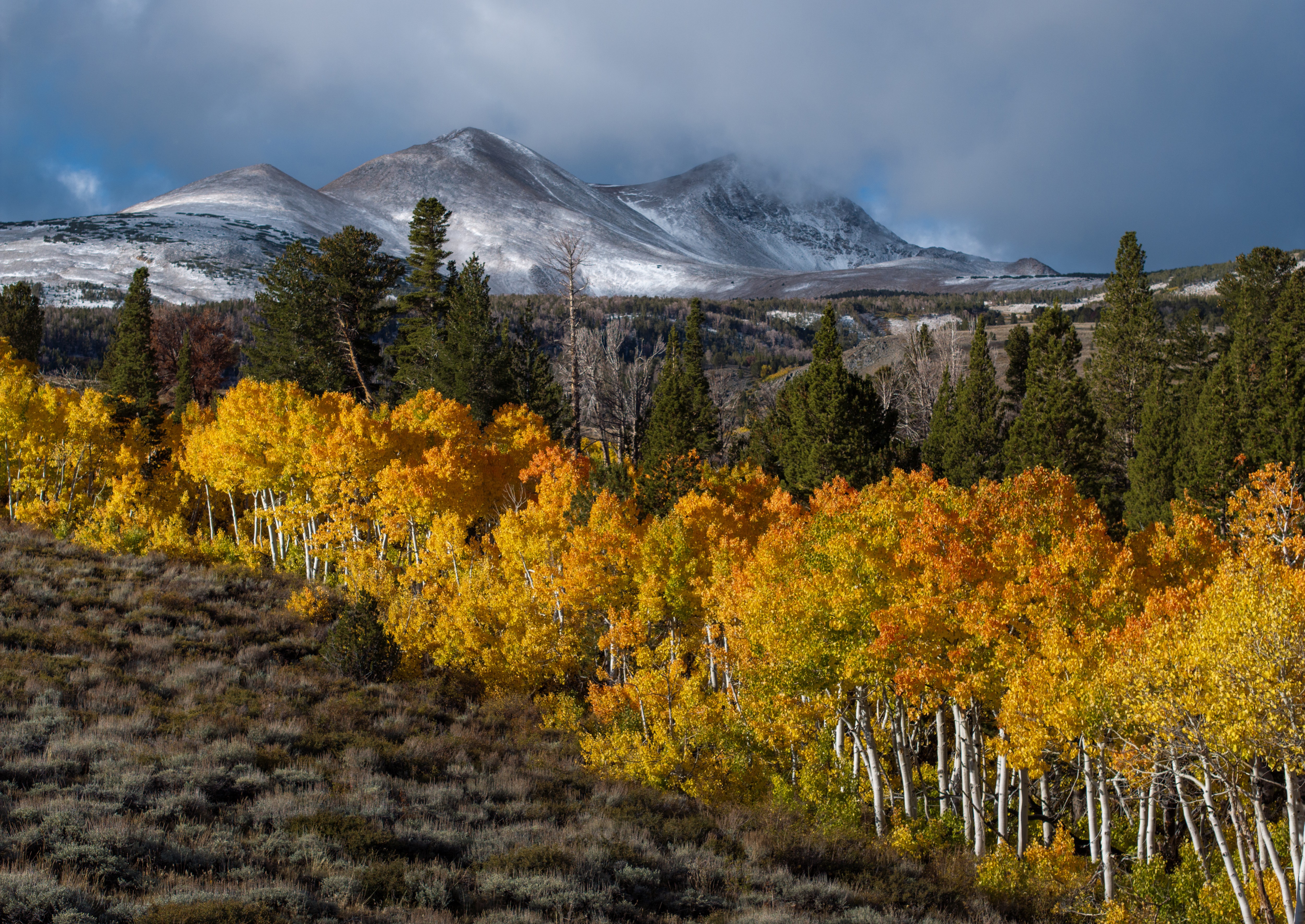 Photos: The Colors of October