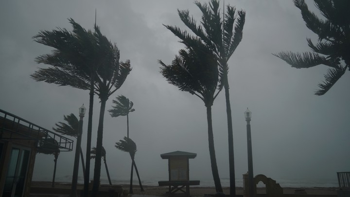 Hurricane Irma batters palm trees and a lifeguard hut in Hollywood, Florida
