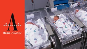 Newborn babies in a hospital nursery