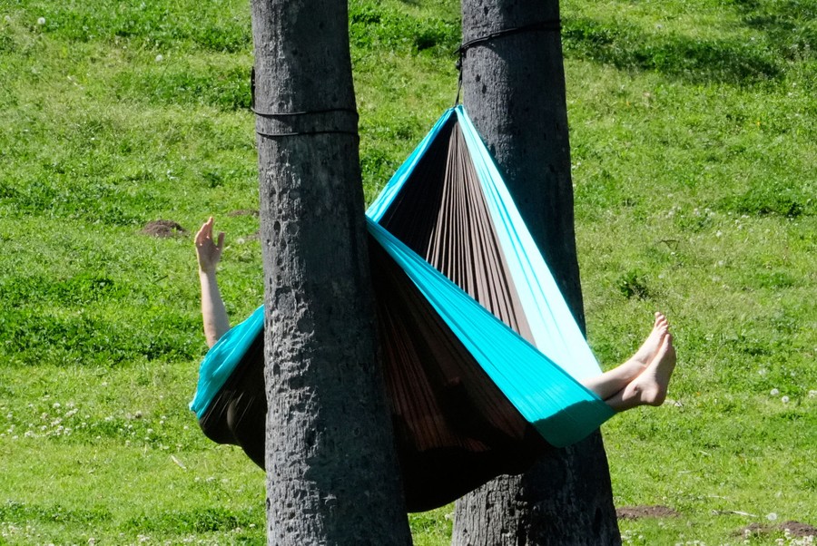 A person rests in a hammock in a park.