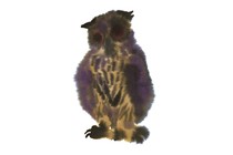 dark ink-blot-like illustration of standing horned owl on white background