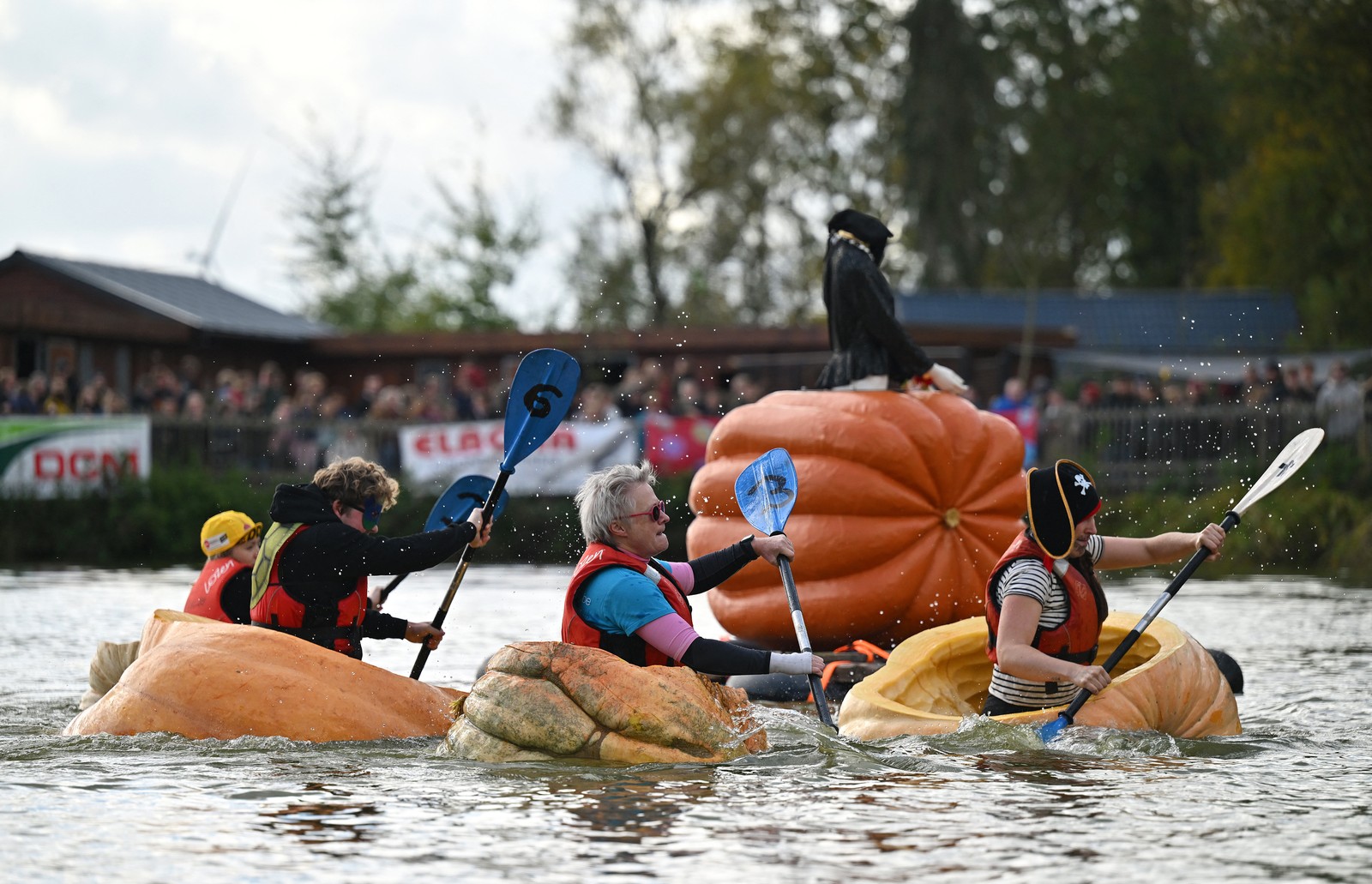 Four participants use paddles to row hollowed-out giant pumpkins in a race across a body of water.