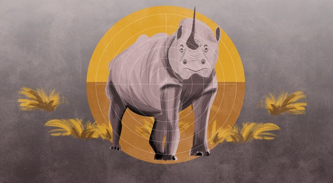 A rhino in crosshairs