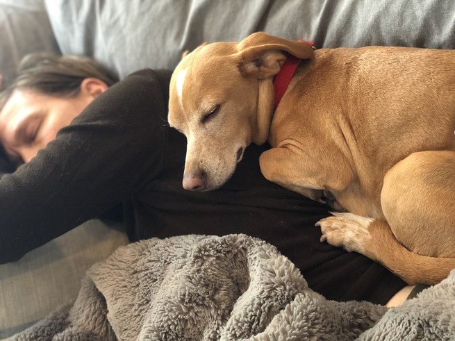 dog and woman sleeping on a couch