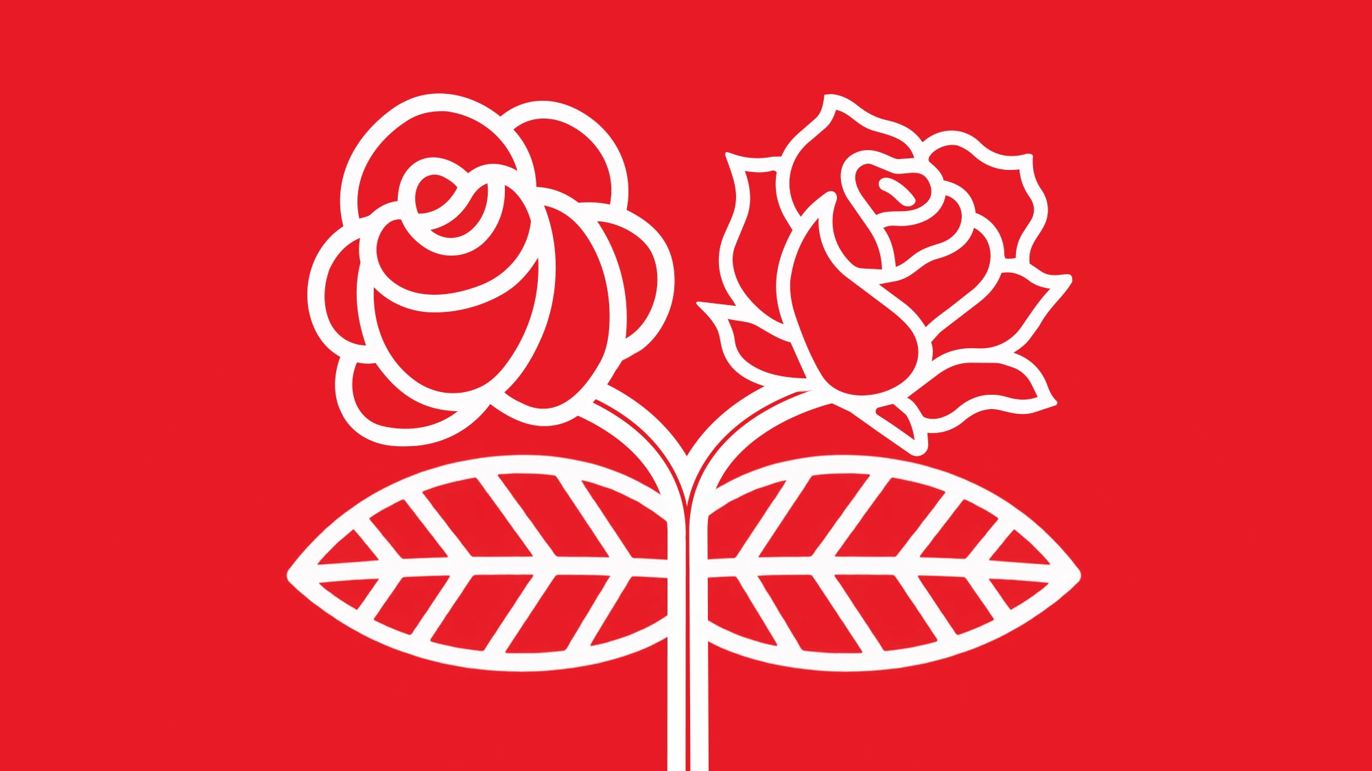 DSA Faces Criticism Over Extremist Voices