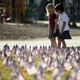 Two girls walk through a field filled with American flags.