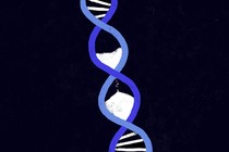 An illustration of DNA with sand passing through the double helix as if through an hourglass