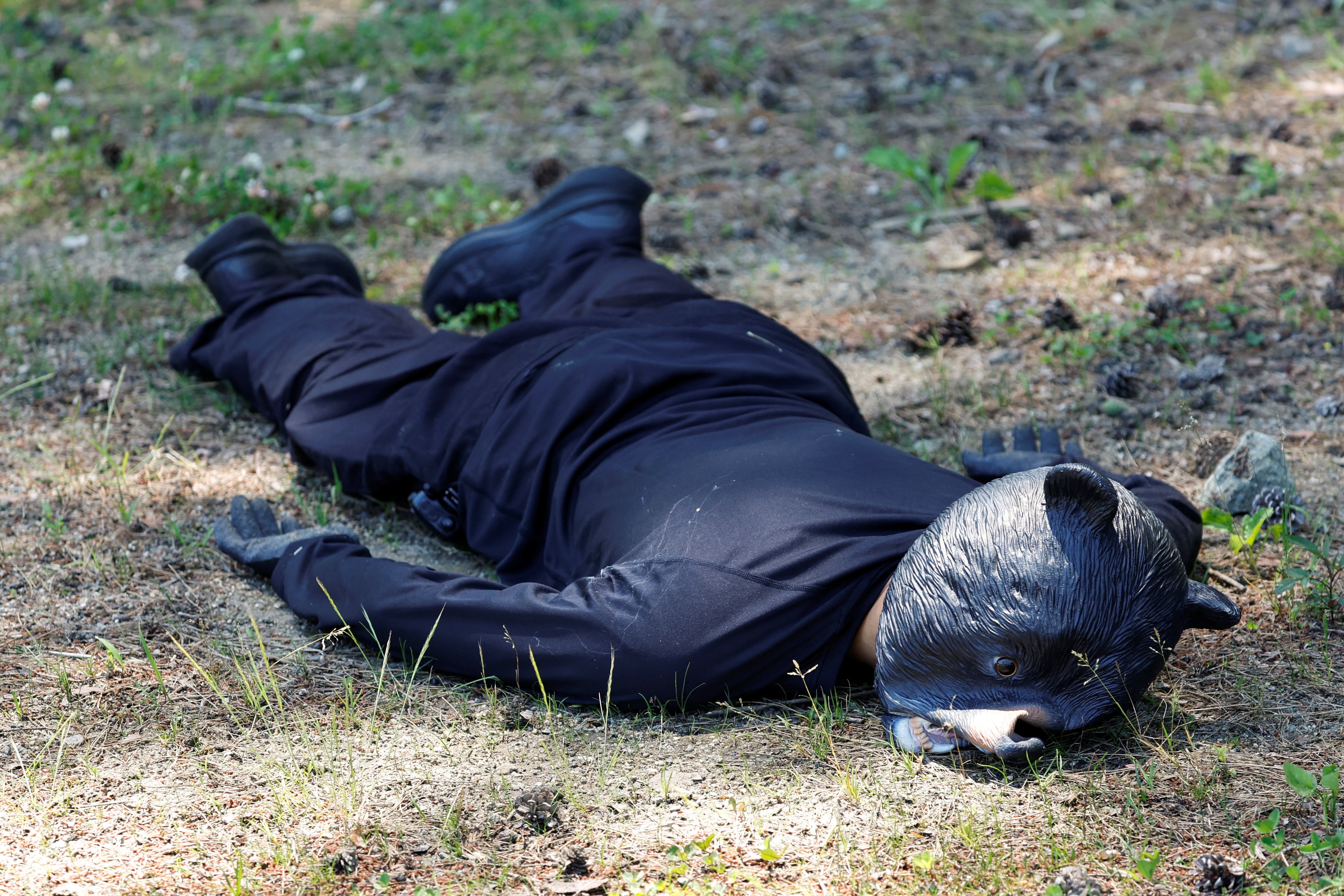 A man in a bear mask and dark clothing lies face-down on the ground, playing dead.