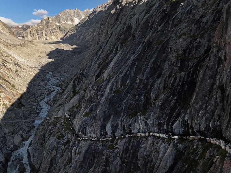 An aerial view of a flock of sheep walking along a narrow trail into a steep mountain valley