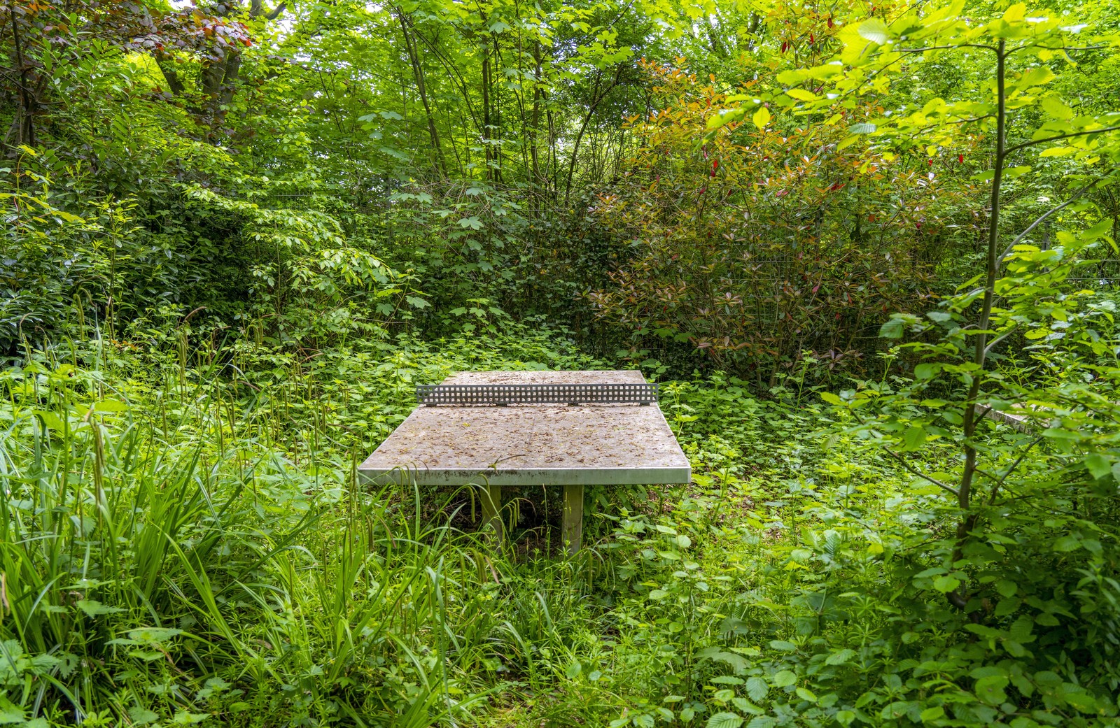 An old table-tennis table sits in an abandoned playground, overgrown by plants.