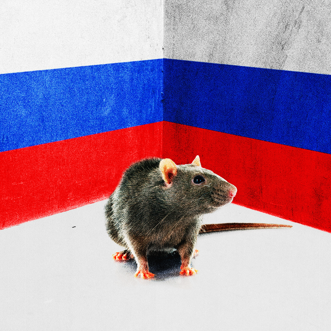 Vladimir Putin and the Parable of the 'Cornered Rat' - The Atlantic