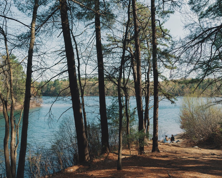 photo of wooded bank of large pond surrounded by trees, with two figures sitting in middle distance