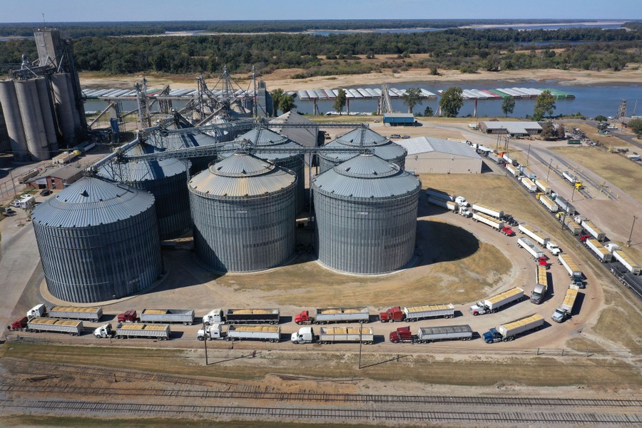 Dozens of trucks filled with grain sit in lines around a collection of riverside grain elevators.