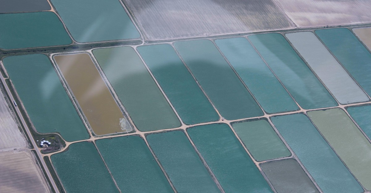 What Mississippi Catfish Farms Look Like From Above The Atlantic