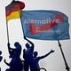 AfD supporters attend a rally in 2014.