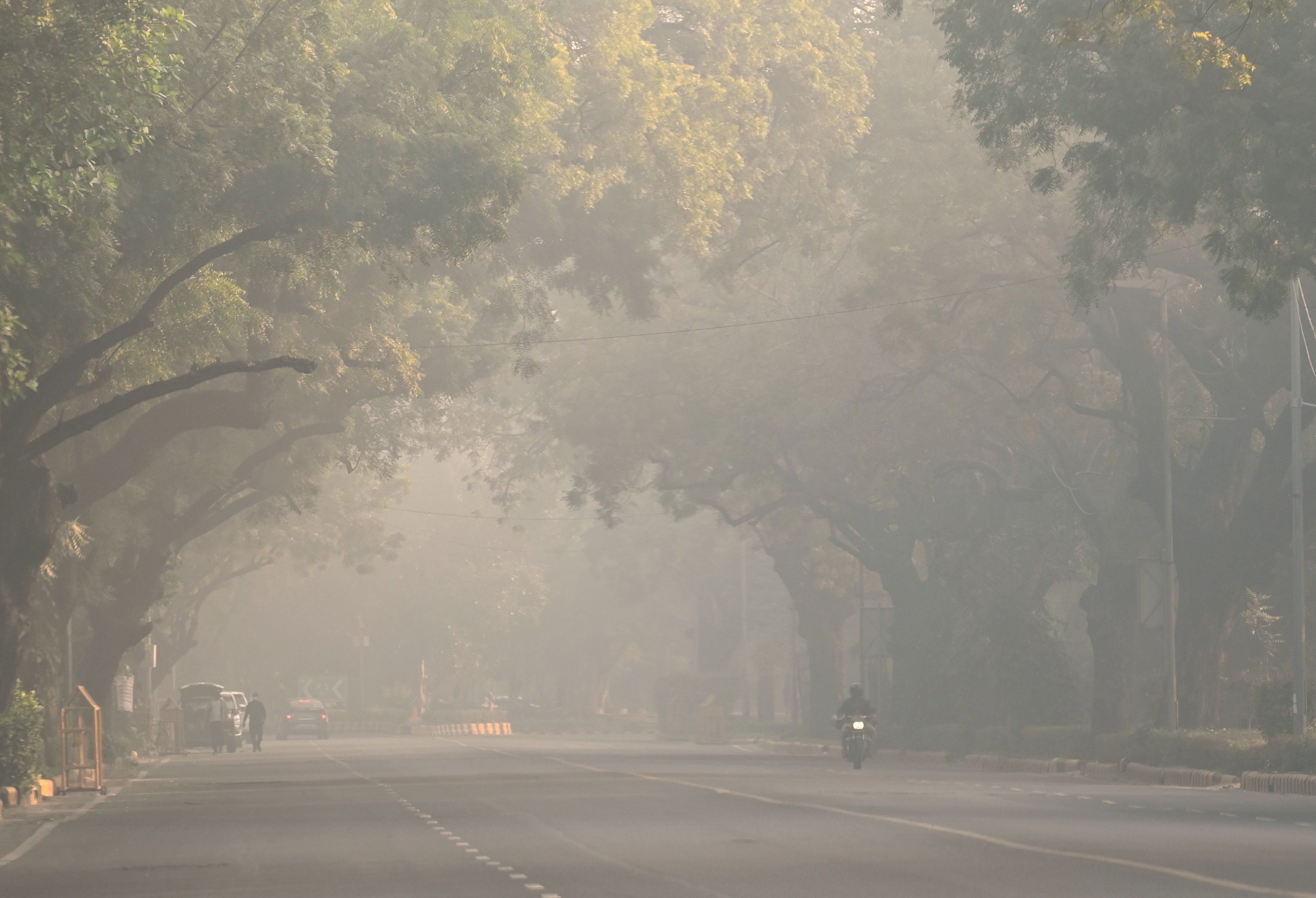 A motorcycle travels down a wide boulevard beneath trees on a very smoggy morning.