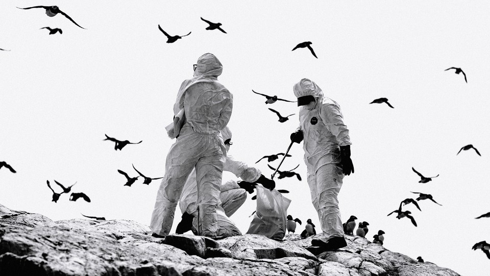 three rangers in hazard suits clear deceased birds as others fly through the sky