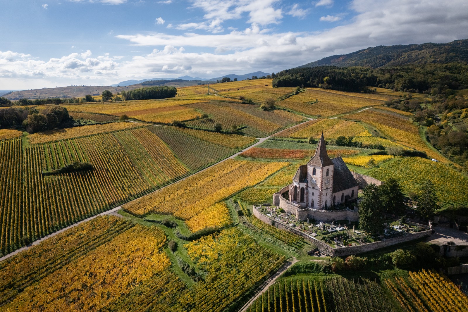 A view of a historic church next to fields and vineyards on an autumn day in France