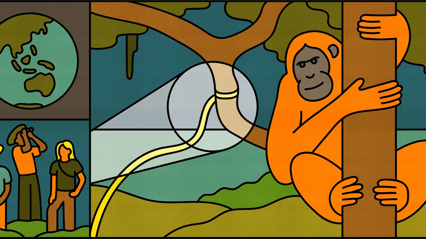 A globe, three researchers, and an orangutan