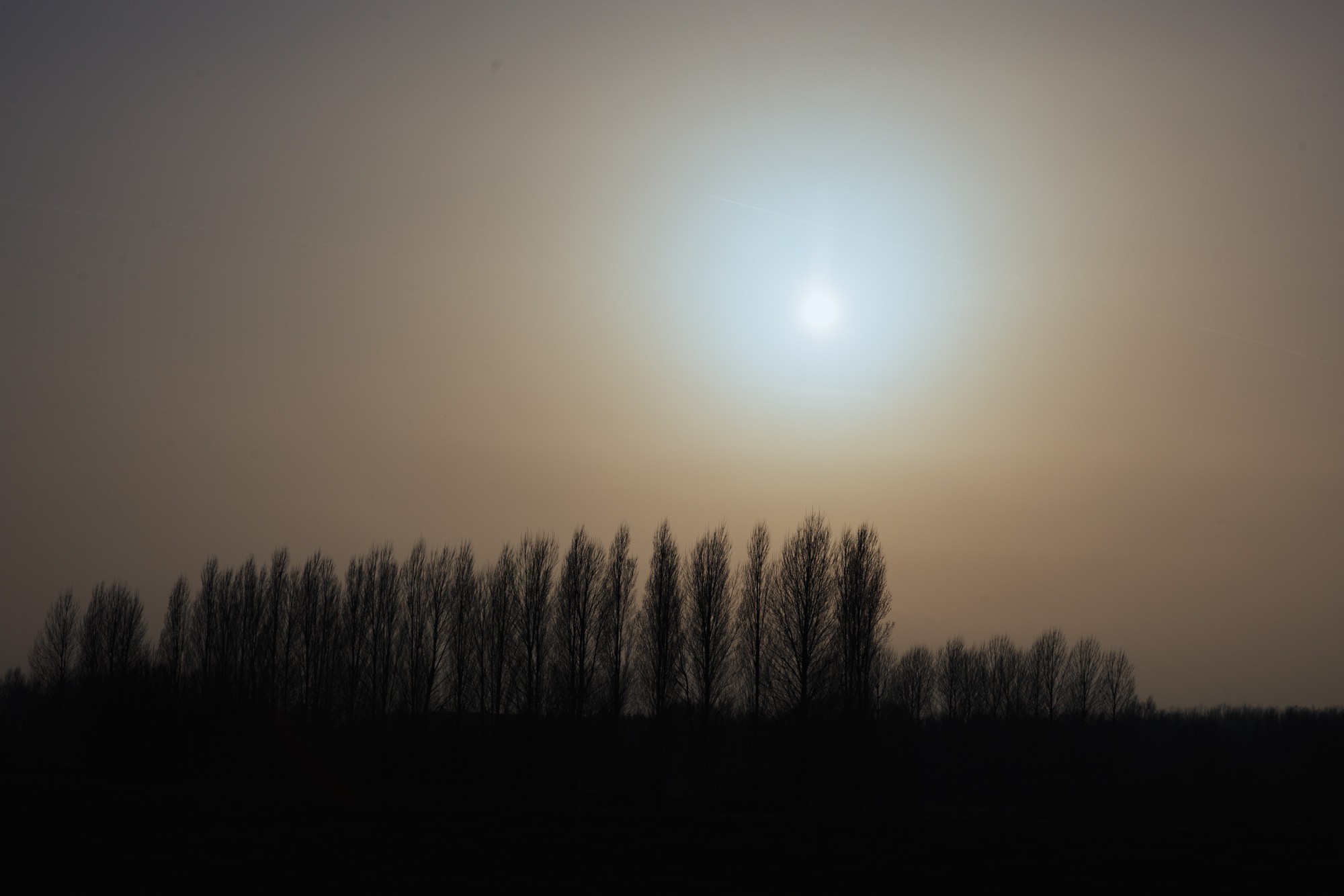 2026-03-13_oosterhoff .jpg