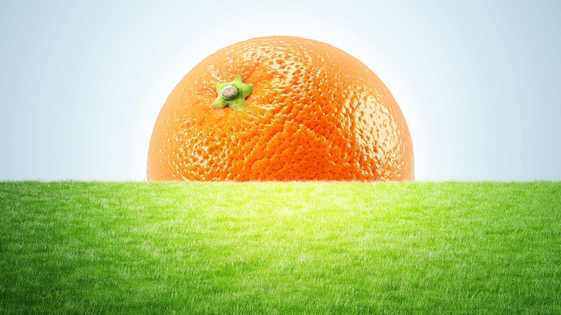 The New Food Movement - The Atlantic