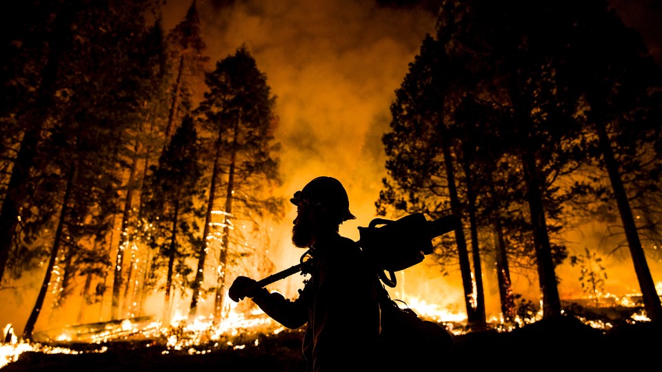 A firefighter watches a controlled burn in Sequoia National Forest in August 2015.