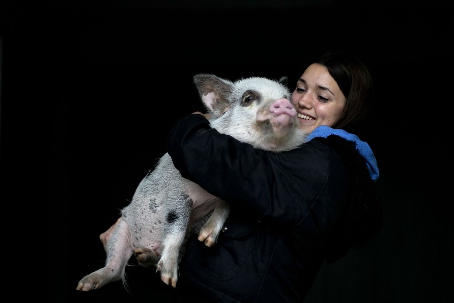 A young woman poses while hugging her pet pig.
