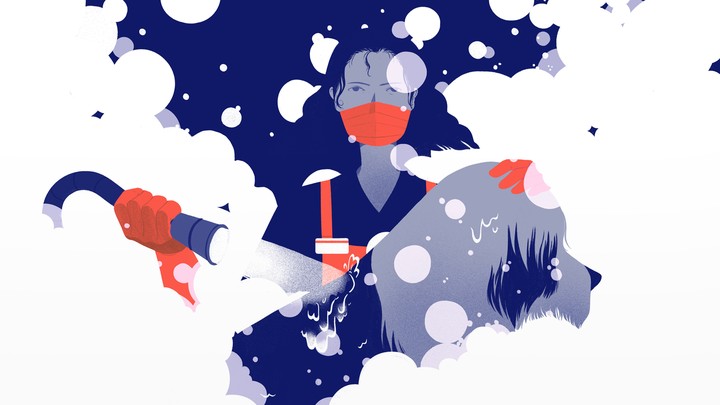 Is It Safe To Get Your Dog Groomed During Covid 19 The Atlantic