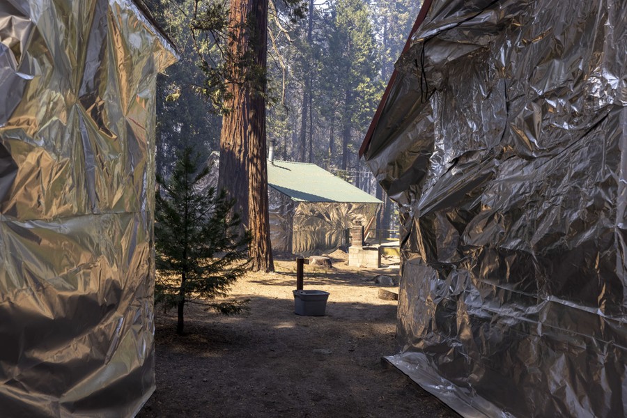 Cabins covered in aluminized structure wrap stand in a scorched forest.