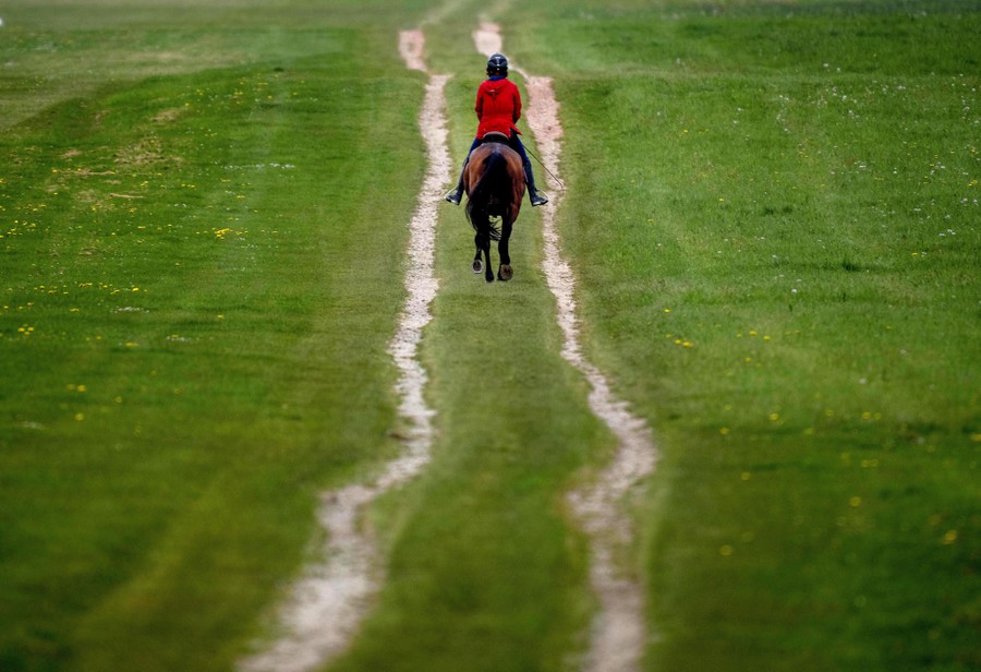 A view down a path through a grassy field, with one horse and rider in the center.