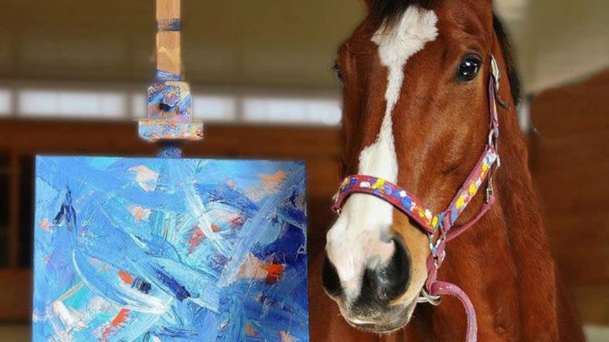 My Paintbrush Bites Metro Meteor The Horse Artist Who Paints