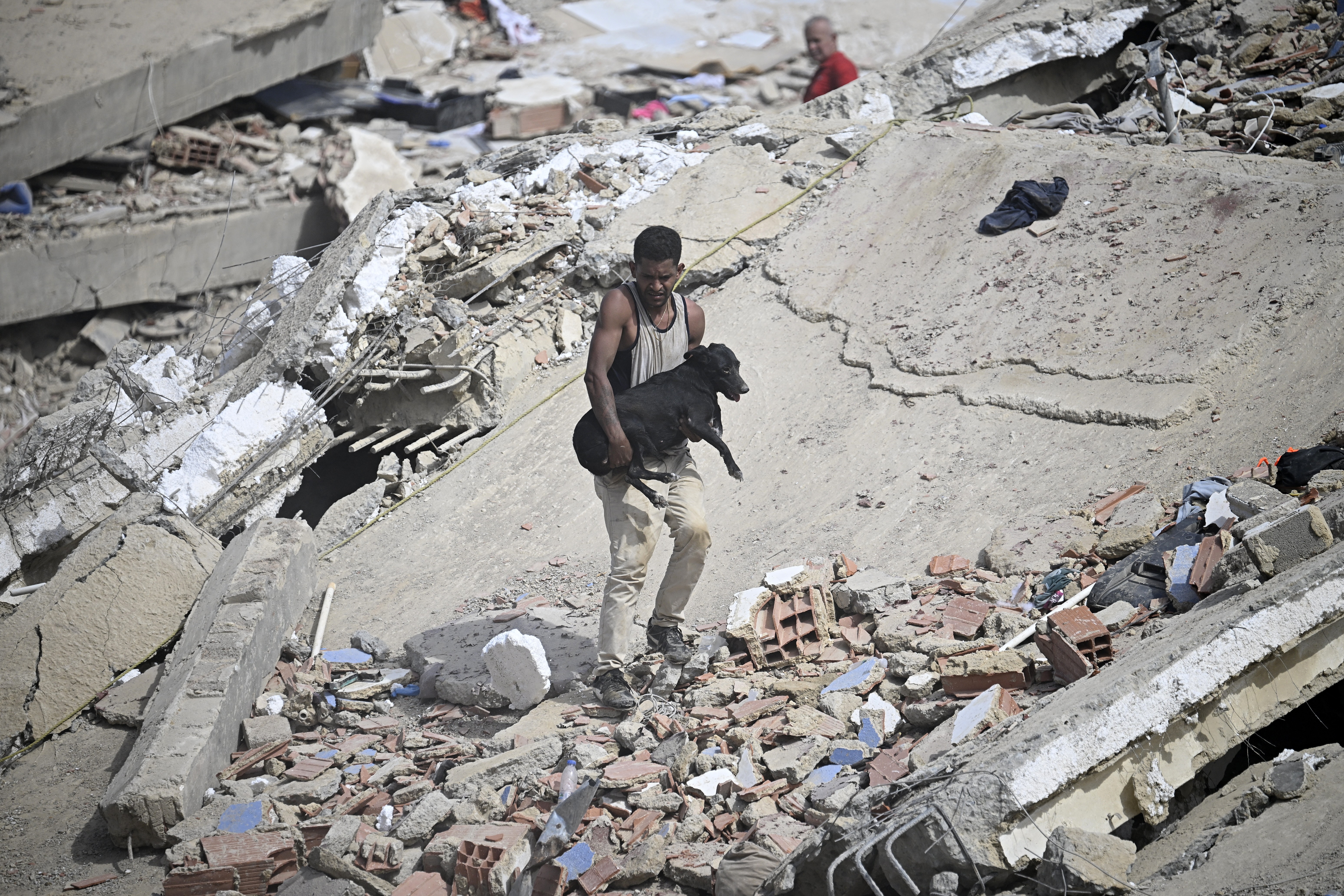 A volunteer carries a rescued dog across the rubble of a collapsed building.