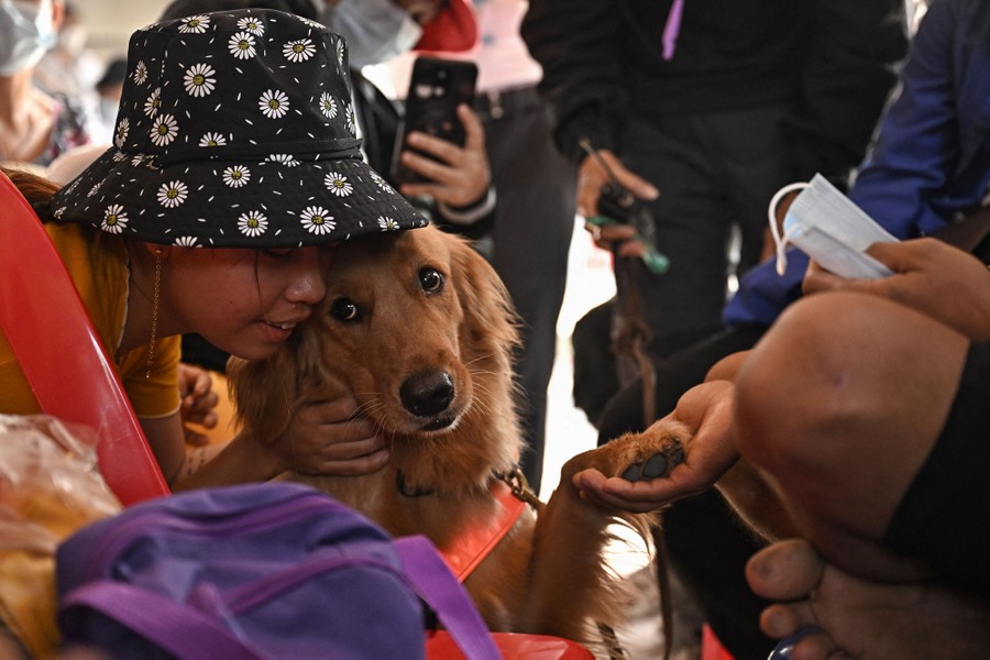 People pet and cuddle with a working dog.