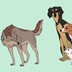 A cartoon drawing of a wolf facing a small pack of dogs of different breeds