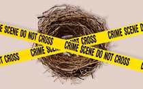 a nest with caution tape on top