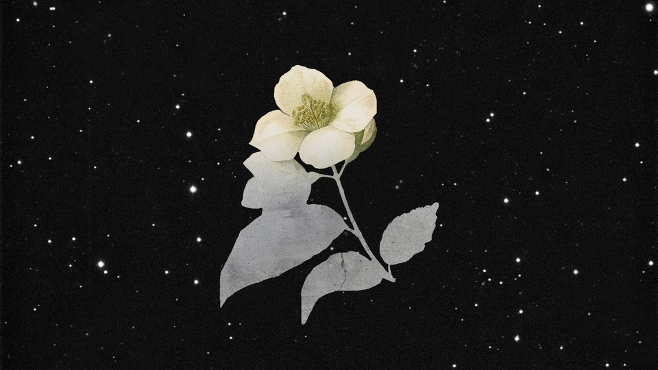 Illustration of a flower in space