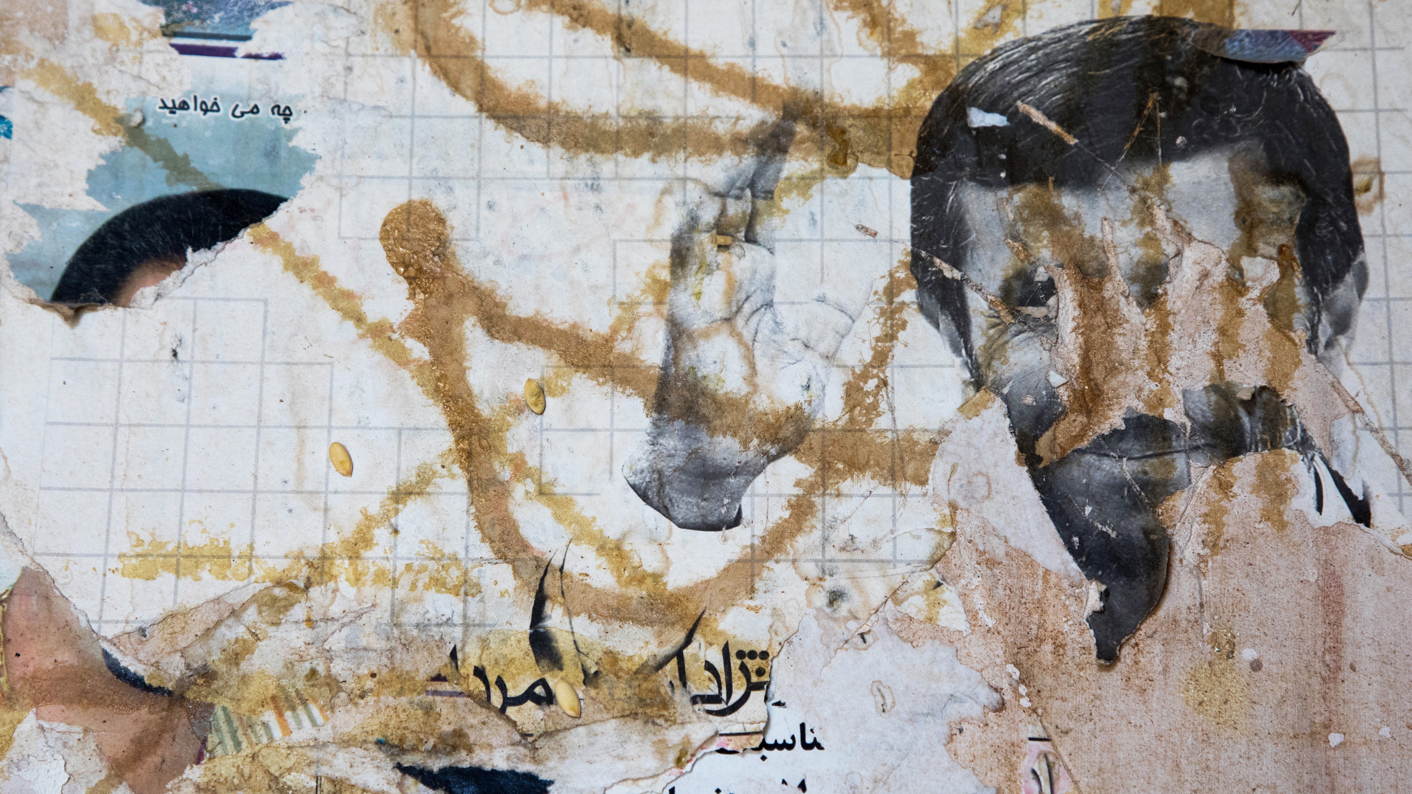 The Ahmadinejad Option