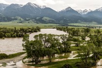 Flooded land