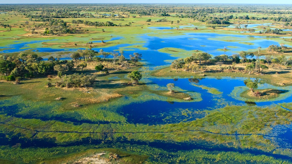 The Okavango Delta, in northern Botswana