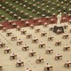 A field filled with desks with test takers at each one, dressed in white and black. The field is green, red, and white.