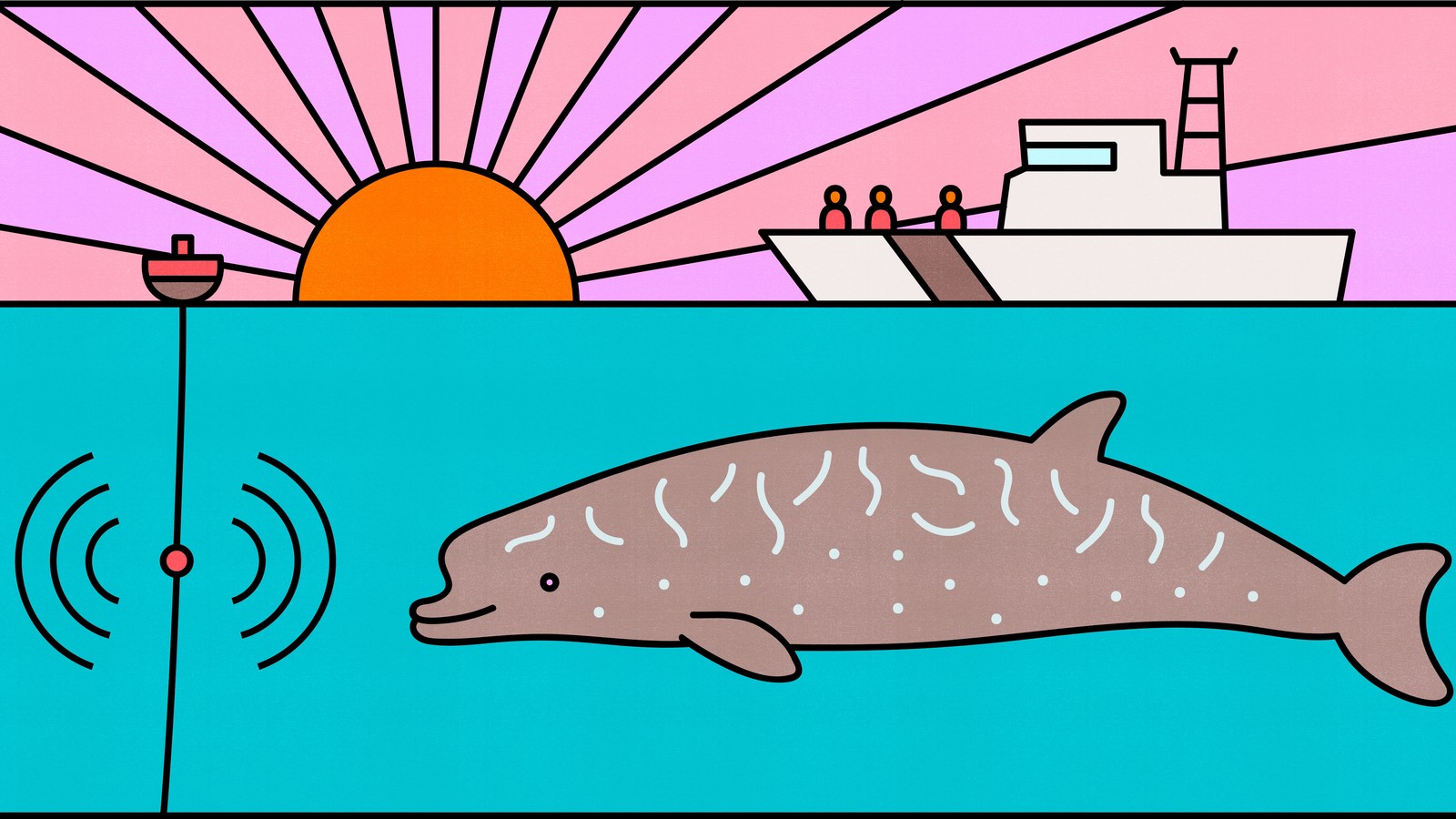 similarities between terrestrial and aquatic animals clipart